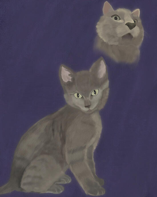 Zelda Pet Portrait Zelda Pet Portrait